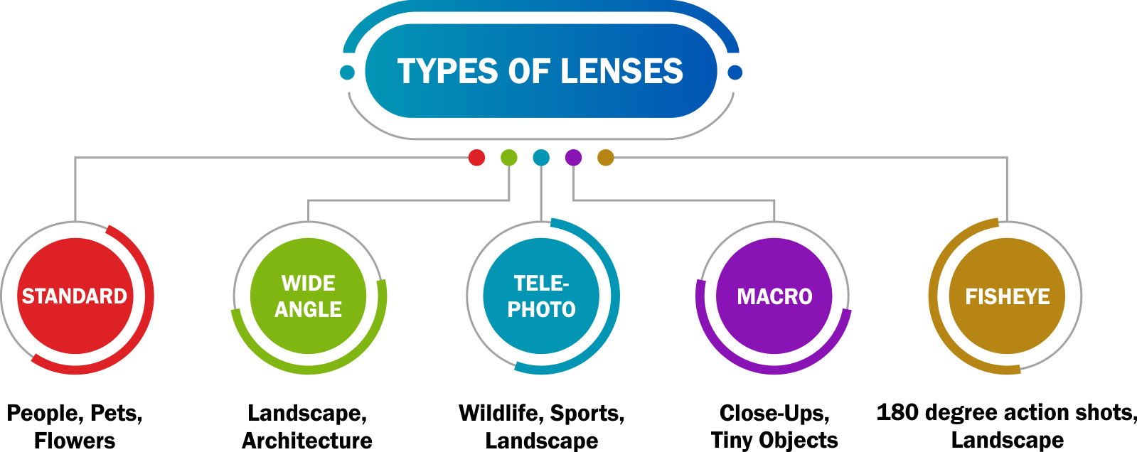 Types of Lenses