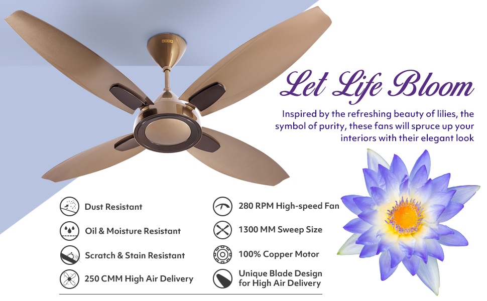 Usha Bloom Lily Ceiling Fan with Goodbye Dust Paint Technology, 1300mm, Unique Blade Design
