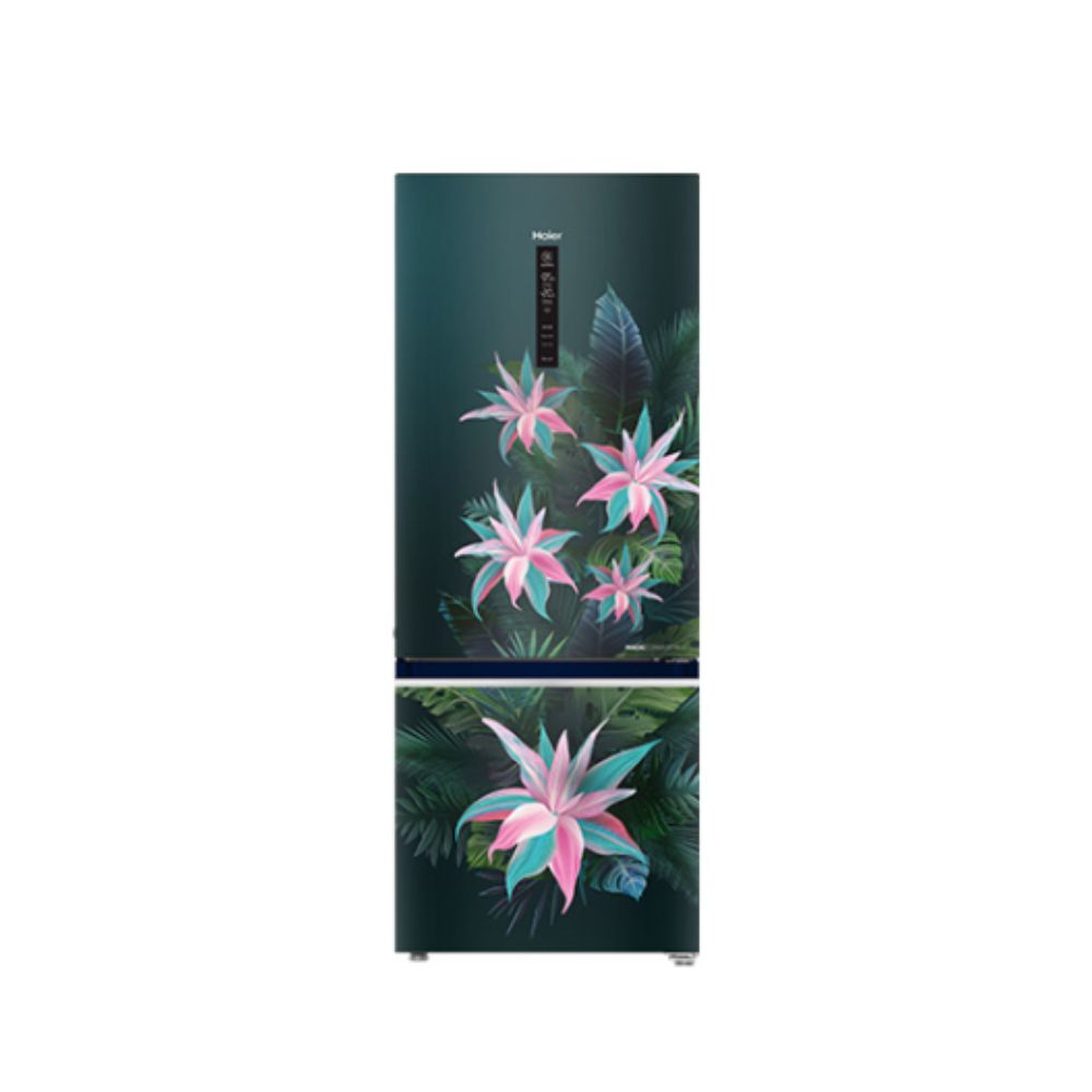 

Haier 376 Ltr 3 Star Double Door Refrigerator (HRB3964BGTE, Green Tropical)