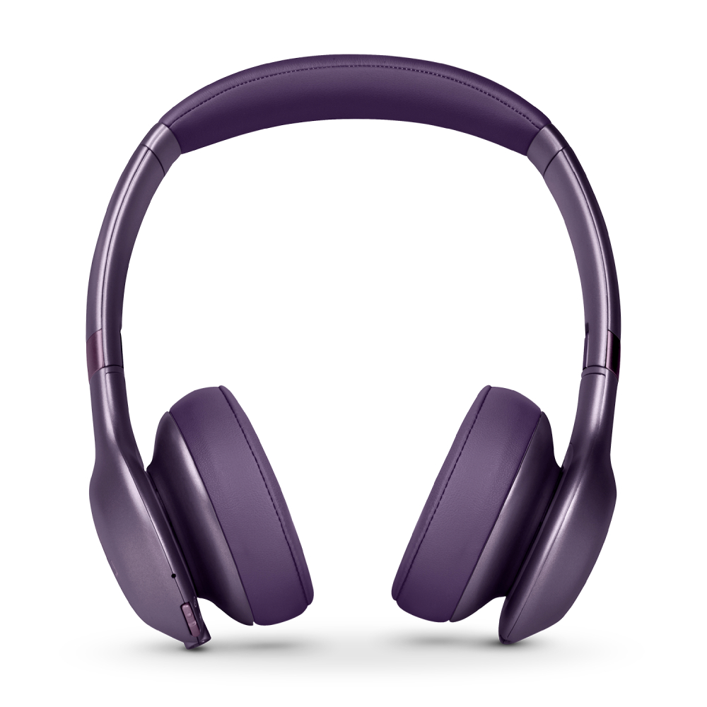 JBL EVEREST ELITE 750NC GML 【公式通販】