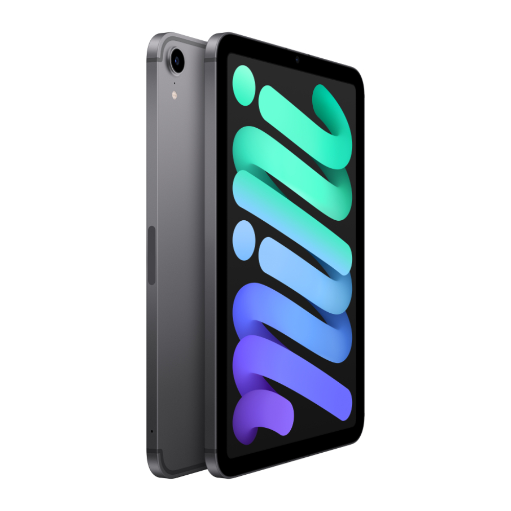 iPadmini6 64GB Wi-Fiモデル + Apple Pencil2 iPad mini（第6世代） Wi-Fi 本体 64GB 8.3インチ USB-Cコネクタ