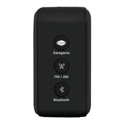 Buy Saregama Carvaan Mini 2.0 Hindi 