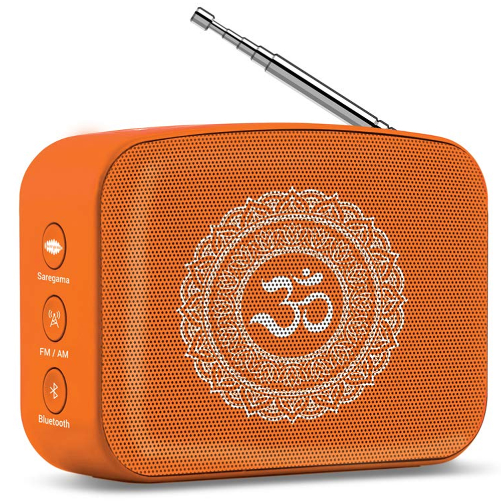 

Saregama Carvaan Mini Bhakti Music Player (Orange)